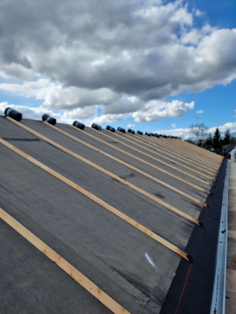 Listedækning Hjørring